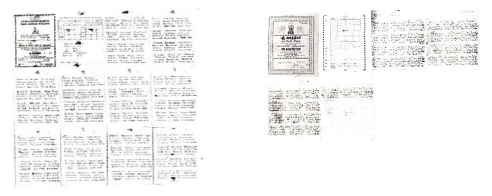 �{���̗t�j�Z���m�̗t