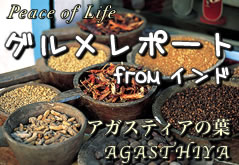 �O�������|�[�g from �C���h