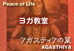 �A�K�X�e�B�A�̗t